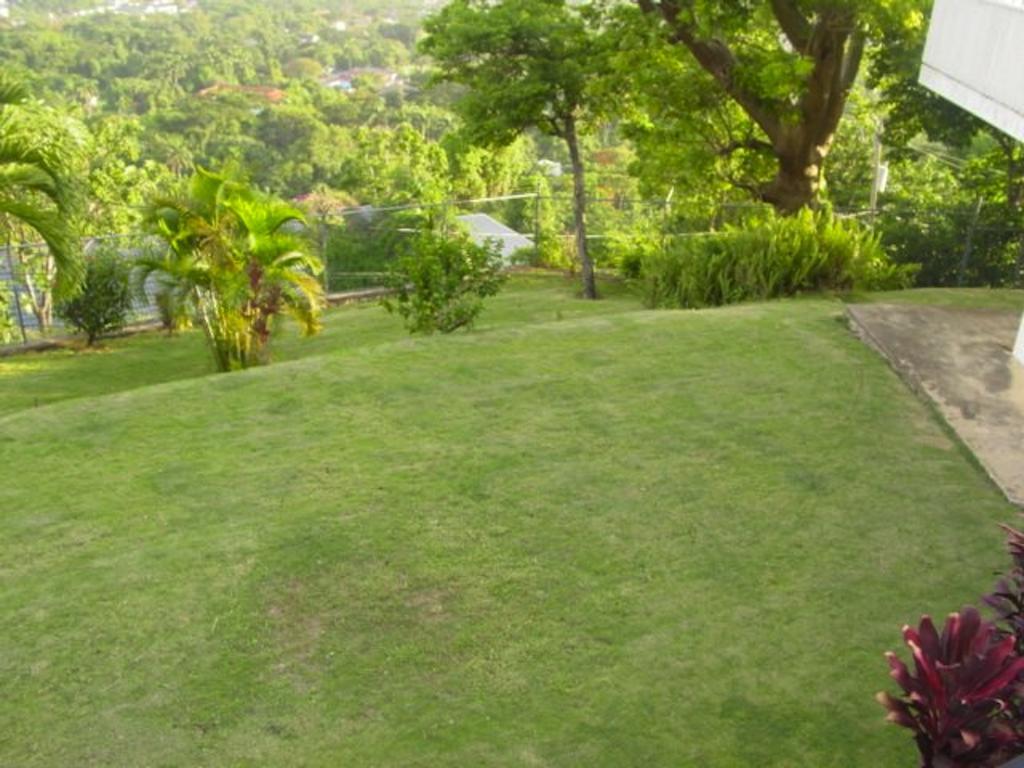 Hill Top Kingston Jamaica Exterior photo